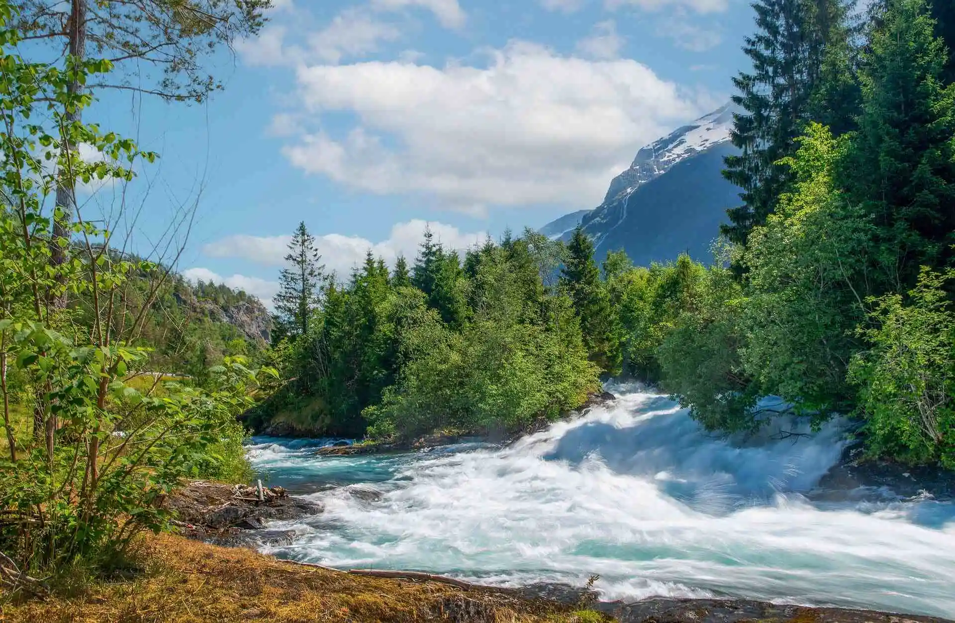 Un cours d'eau avec une forêt et une montagne enneigée en arrière plan